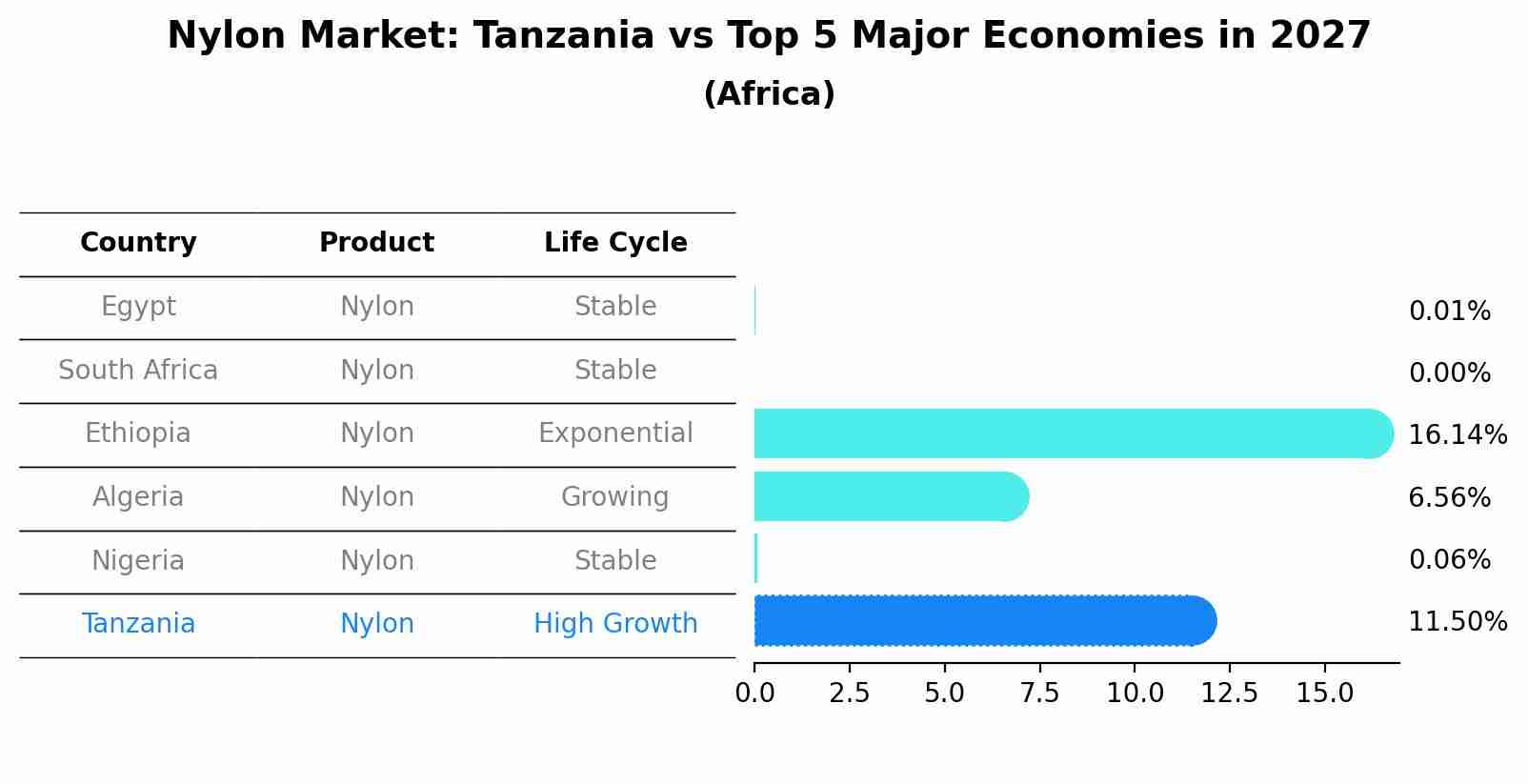 Nylon Market: Tanzania vs Top 5 Major Economies in 2027 (Africa)
