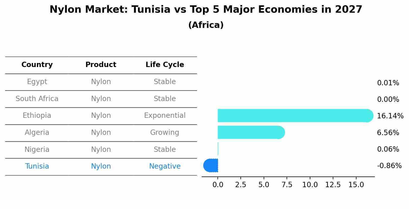 Nylon Market: Tunisia vs Top 5 Major Economies in 2027 (Africa)