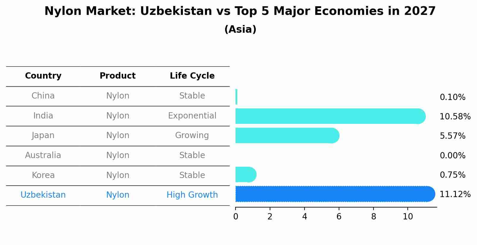 Nylon Market: Uzbekistan vs Top 5 Major Economies in 2027 (Asia)