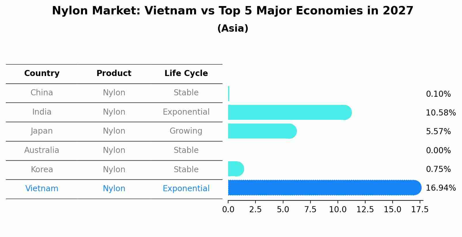 Nylon Market: Vietnam vs Top 5 Major Economies in 2027 (Asia)