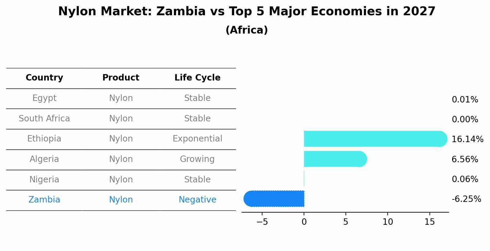 Nylon Market: Zambia vs Top 5 Major Economies in 2027 (Africa)