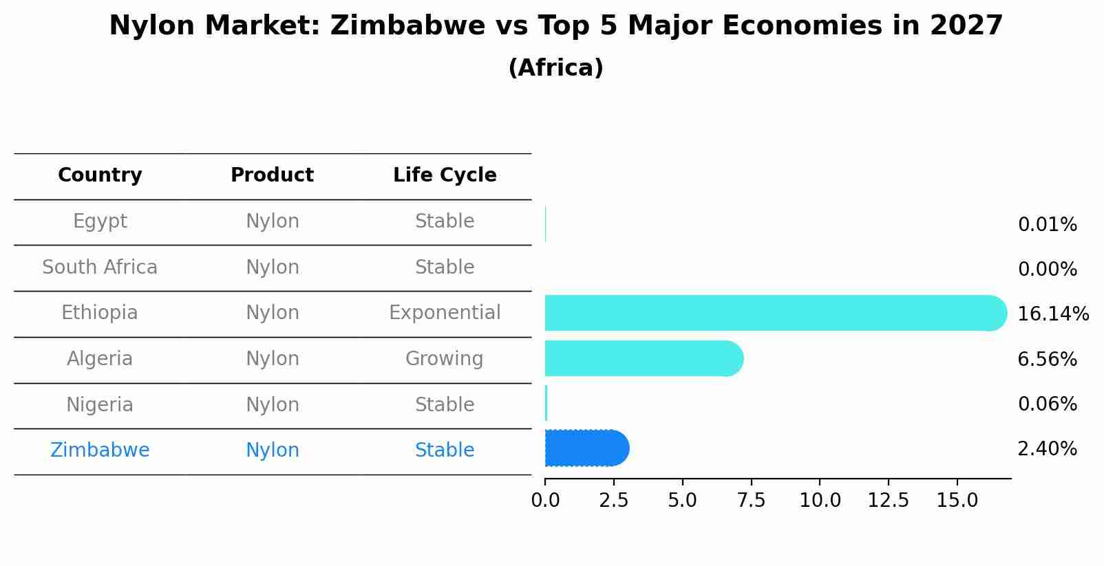 Nylon Market: Zimbabwe vs Top 5 Major Economies in 2027 (Africa)