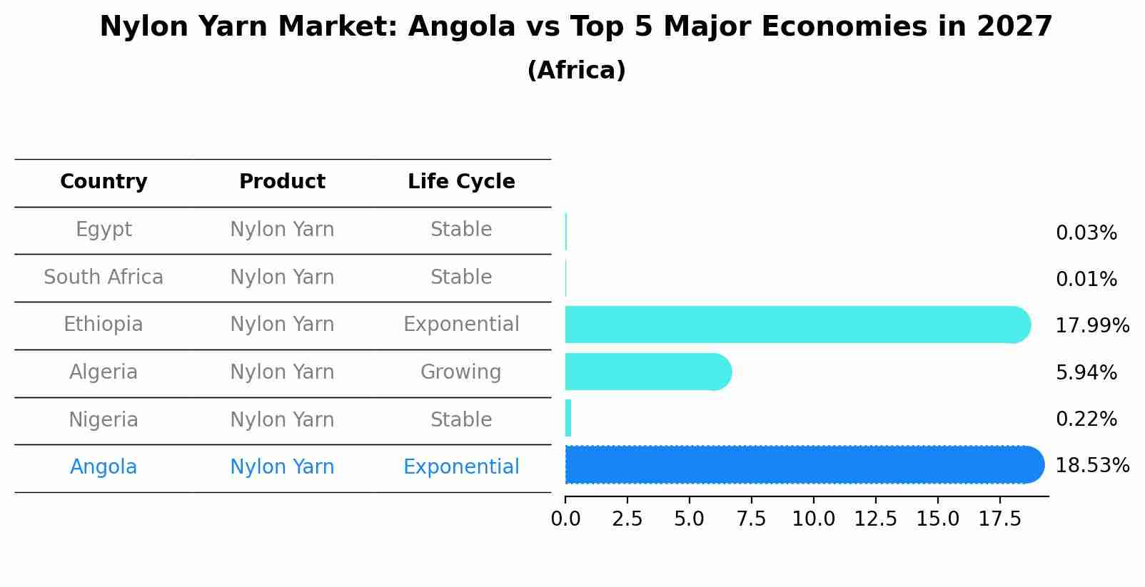 Nylon Yarn Market: Angola vs Top 5 Major Economies in 2027 (Africa)