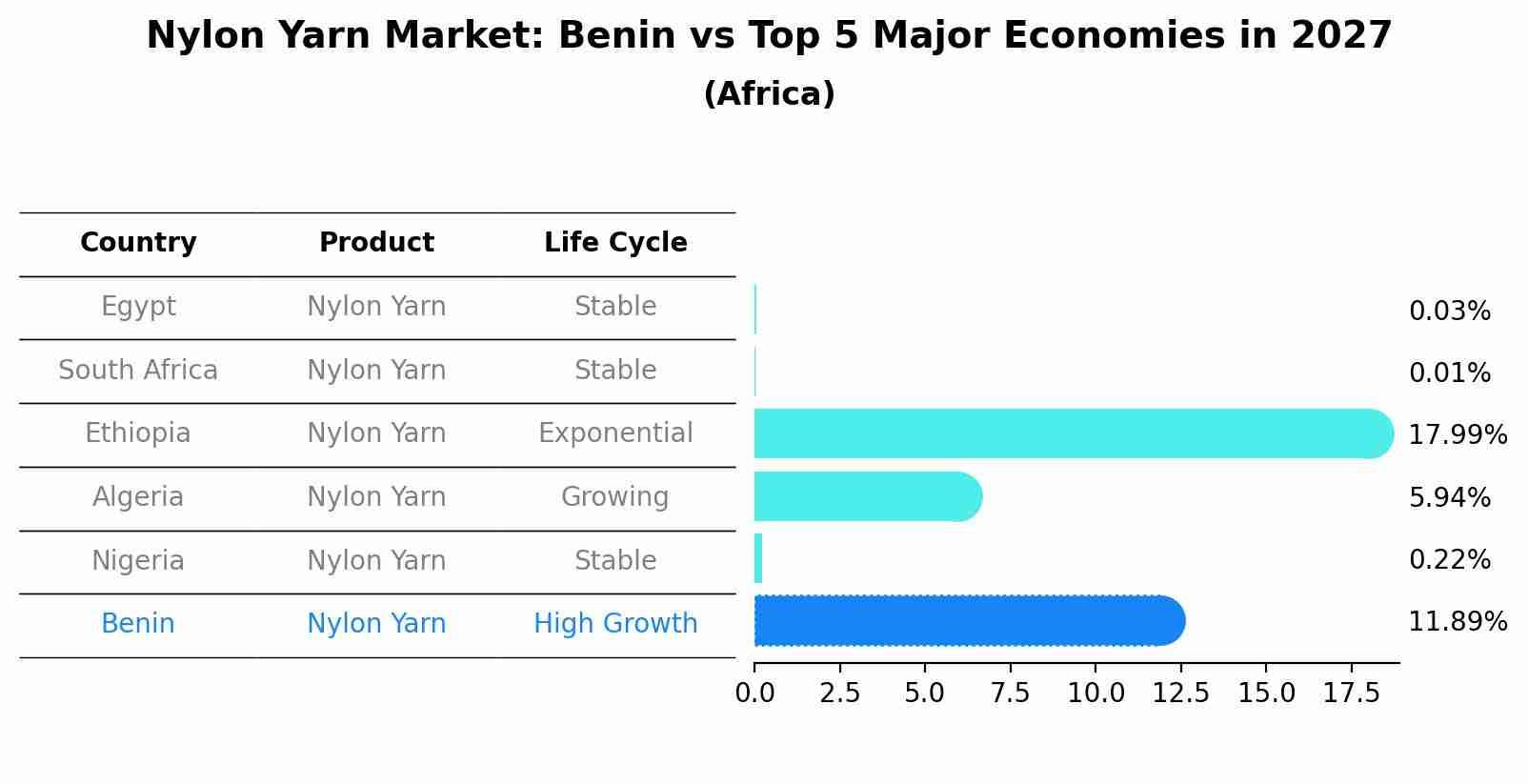 Nylon Yarn Market: Benin vs Top 5 Major Economies in 2027 (Africa)