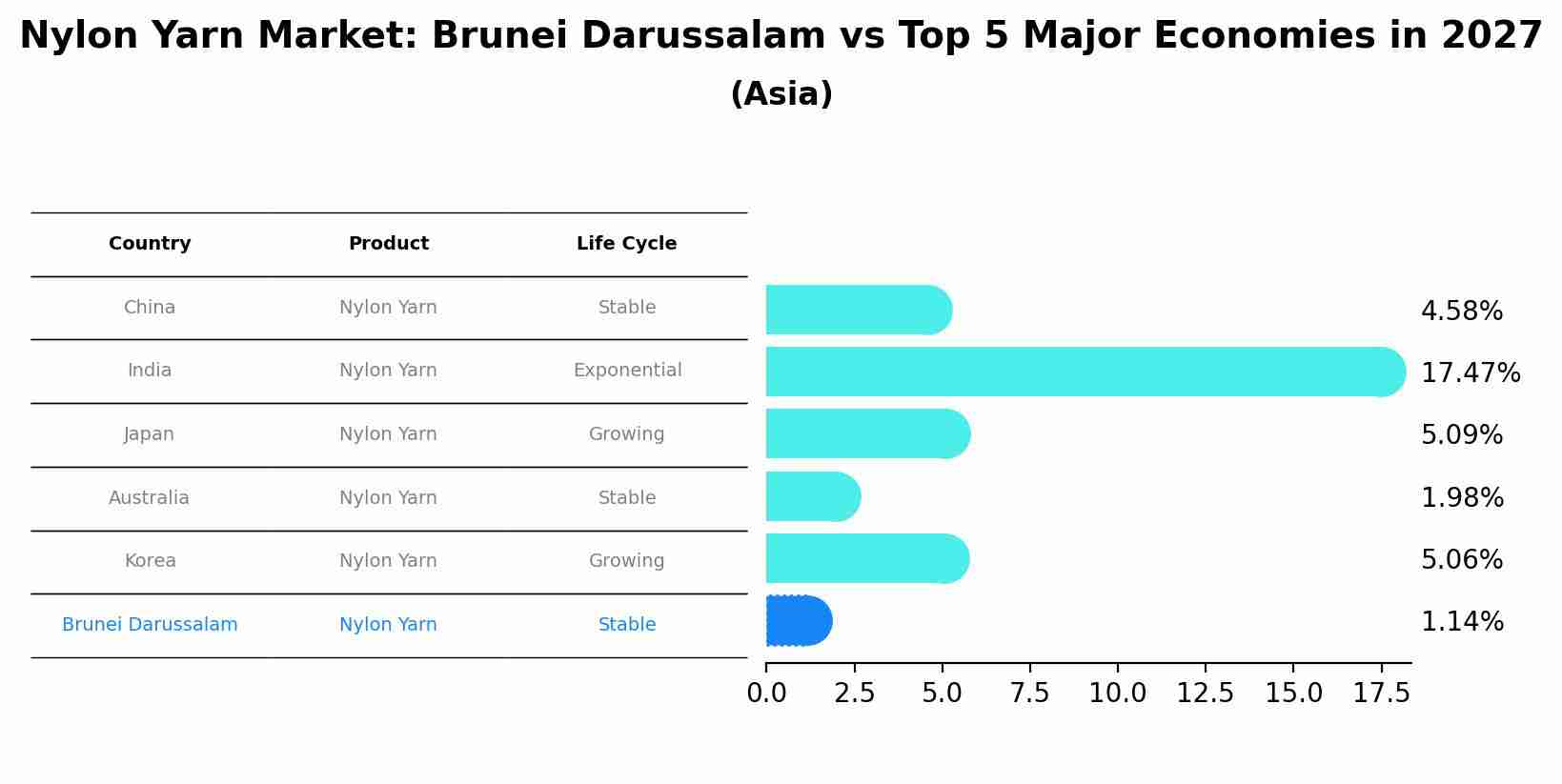 Nylon Yarn Market: Brunei Darussalam vs Top 5 Major Economies in 2027 (Asia)