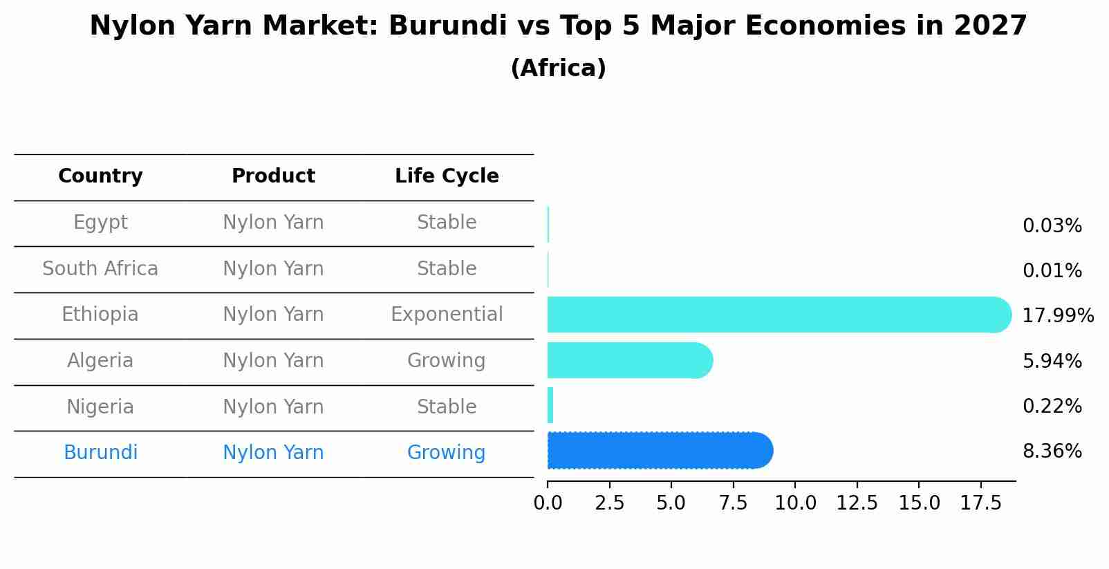 Nylon Yarn Market: Burundi vs Top 5 Major Economies in 2027 (Africa)