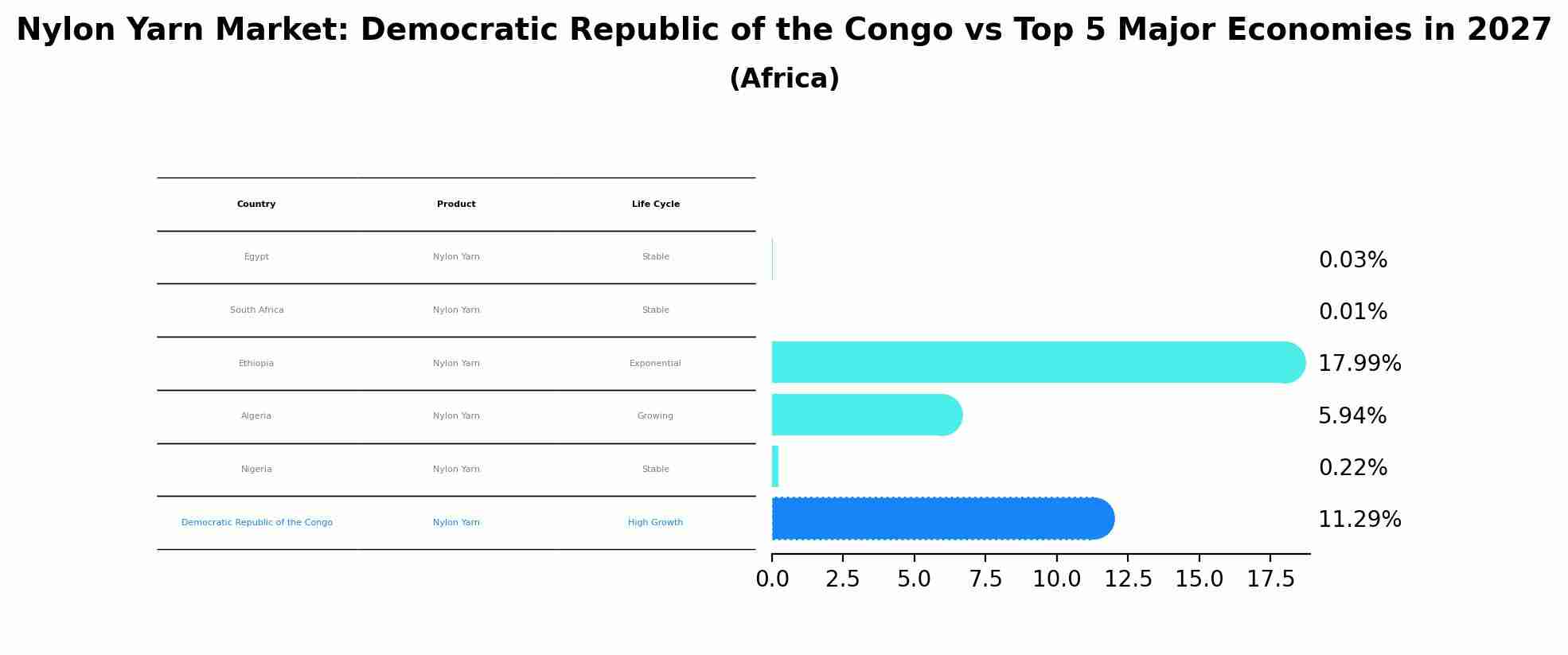 Nylon Yarn Market: Democratic Republic of the Congo vs Top 5 Major Economies in 2027 (Africa)