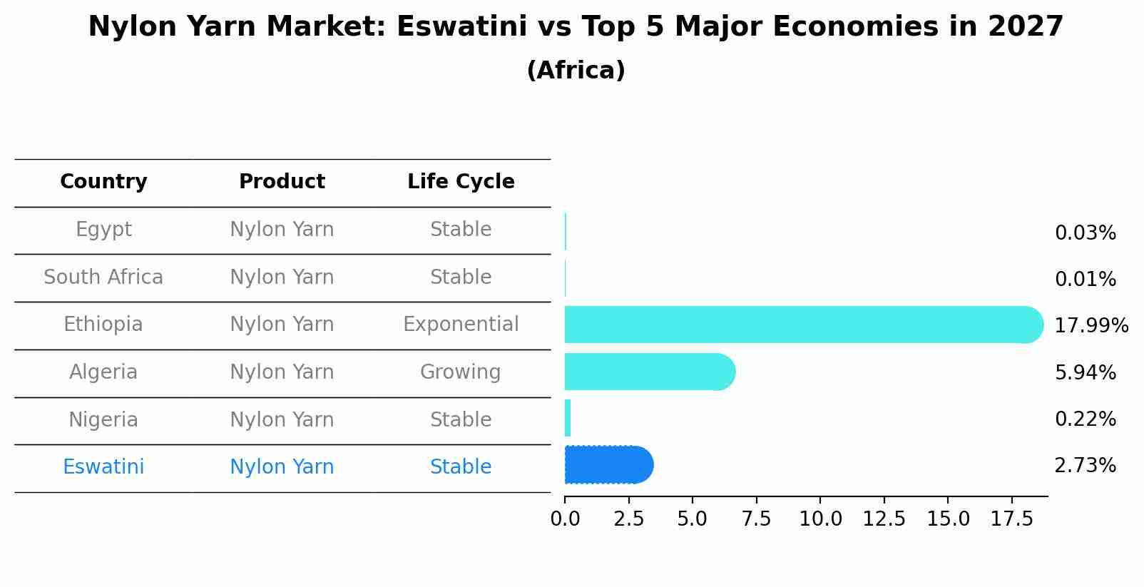 Nylon Yarn Market: Eswatini vs Top 5 Major Economies in 2027 (Africa)