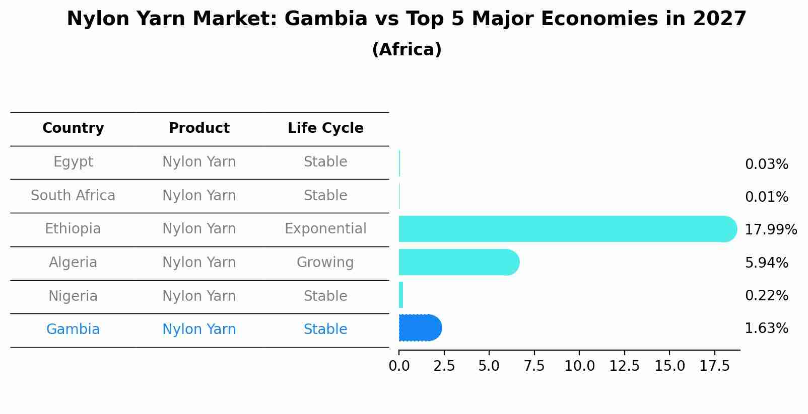 Nylon Yarn Market: Gambia vs Top 5 Major Economies in 2027 (Africa)