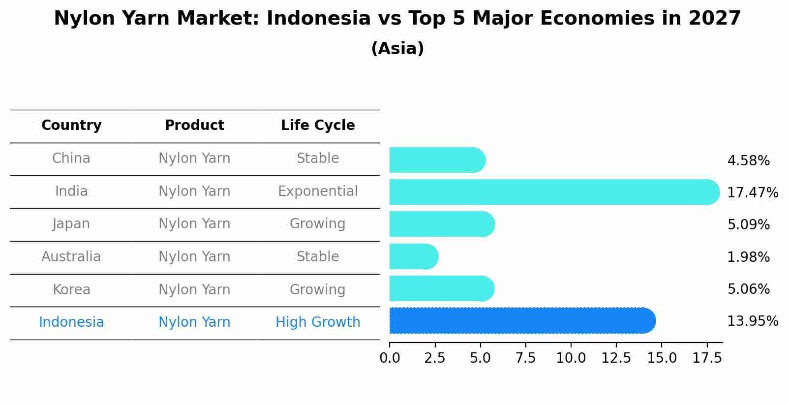 Nylon Yarn Market: Indonesia vs Top 5 Major Economies in 2027 (Asia)