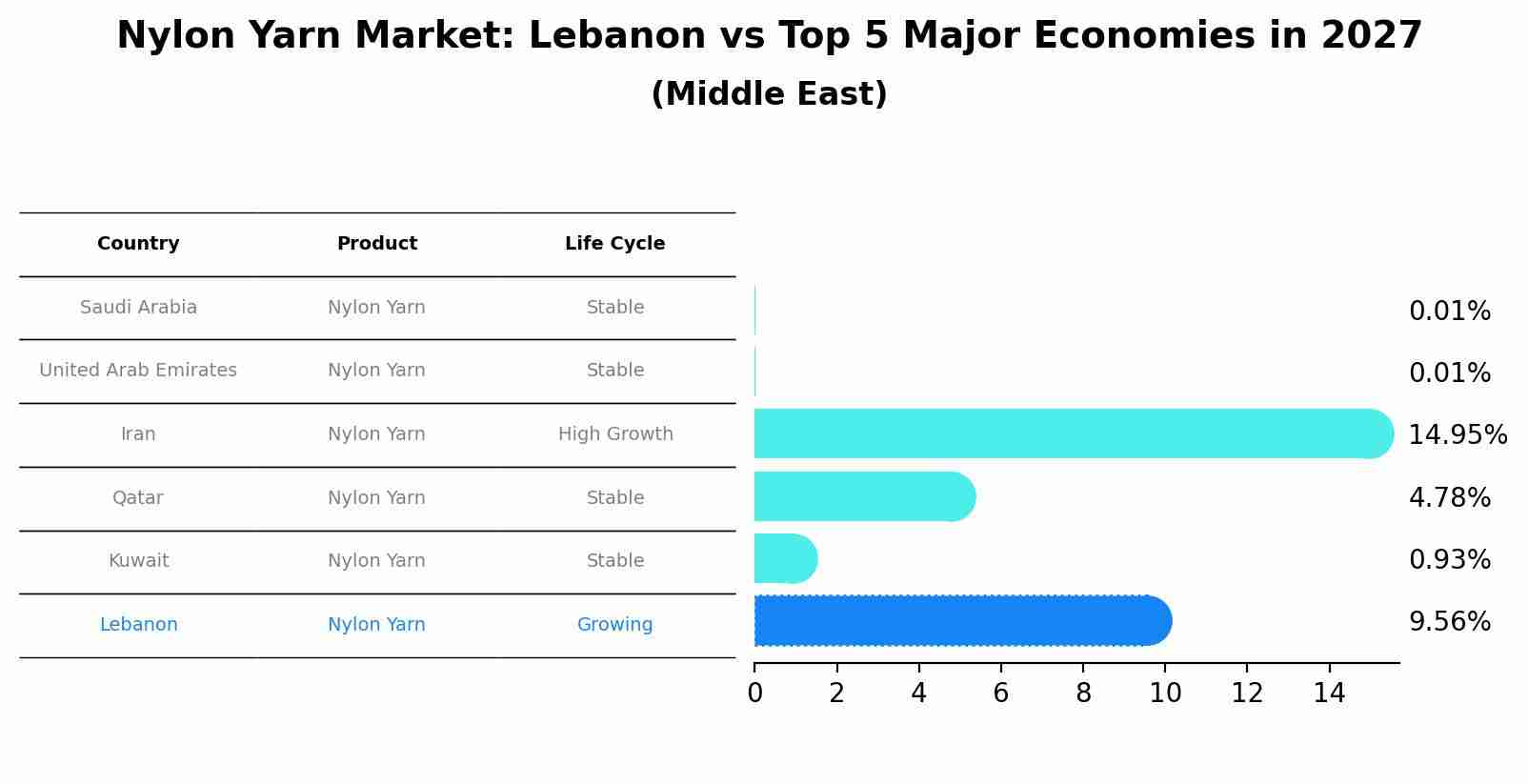 Nylon Yarn Market: Lebanon vs Top 5 Major Economies in 2027 (Middle East)