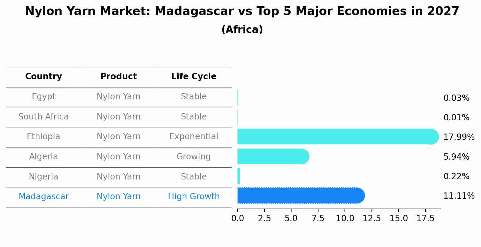 Nylon Yarn Market: Madagascar vs Top 5 Major Economies in 2027 (Africa)