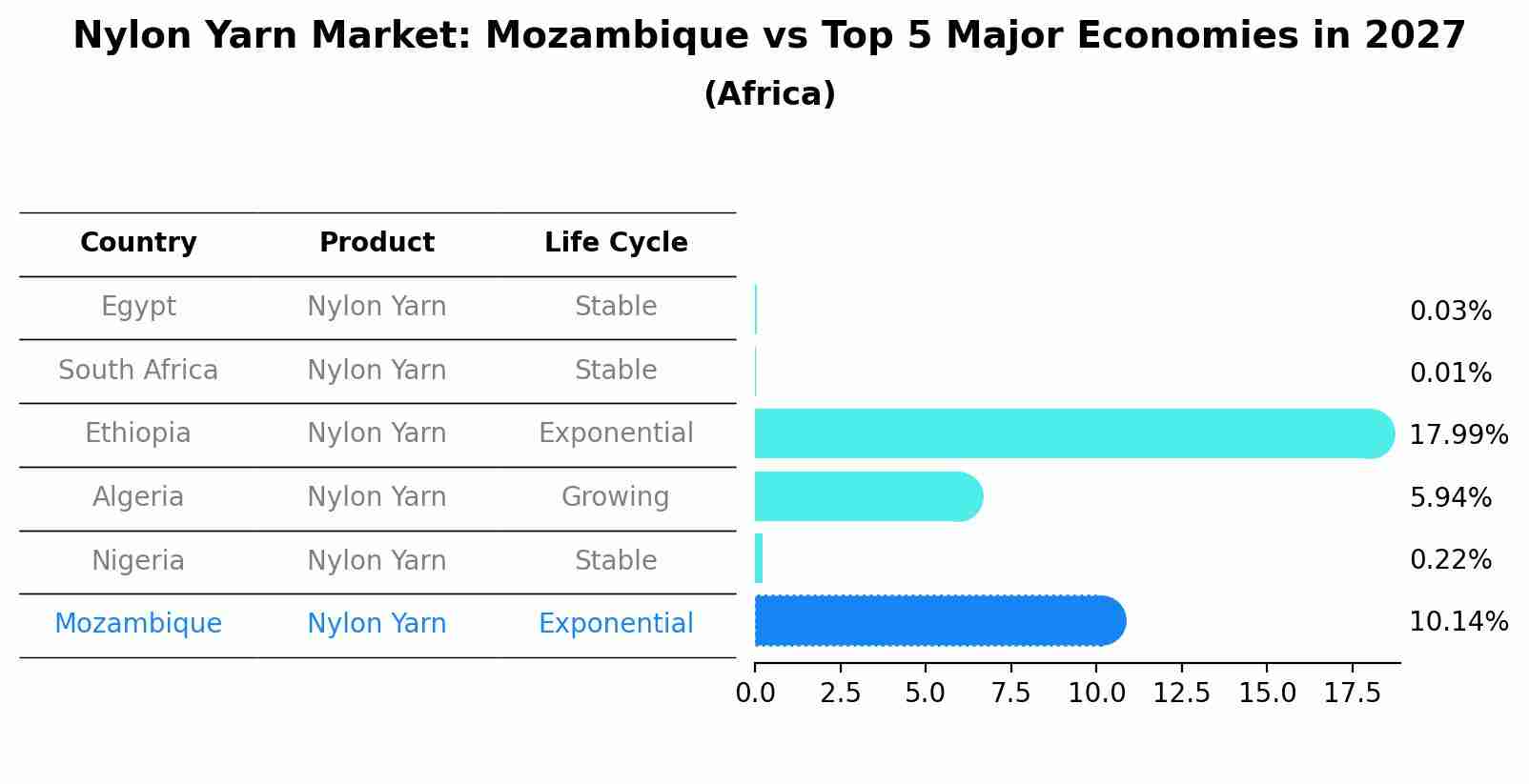 Nylon Yarn Market: Mozambique vs Top 5 Major Economies in 2027 (Africa)