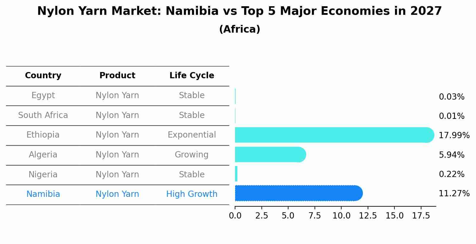 Nylon Yarn Market: Namibia vs Top 5 Major Economies in 2027 (Africa)