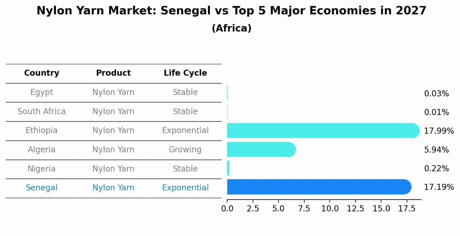 Nylon Yarn Market: Senegal vs Top 5 Major Economies in 2027 (Africa)