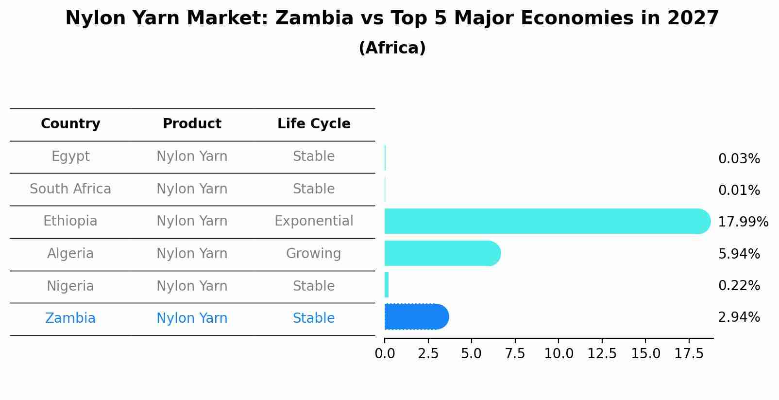 Nylon Yarn Market: Zambia vs Top 5 Major Economies in 2027 (Africa)