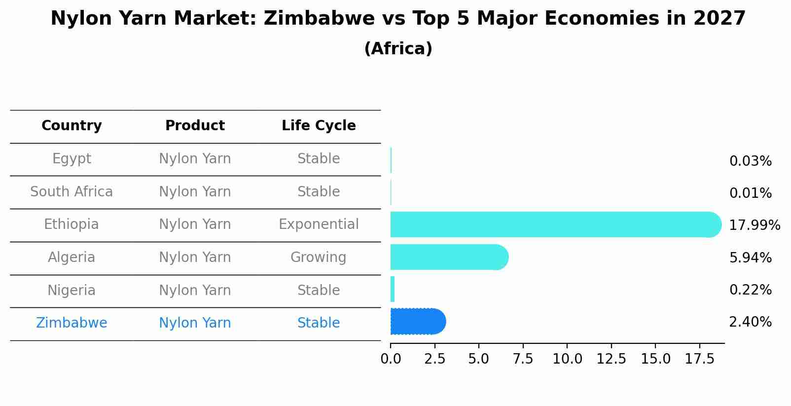 Nylon Yarn Market: Zimbabwe vs Top 5 Major Economies in 2027 (Africa)