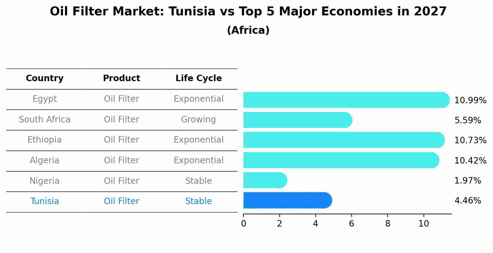 Oil Filter Market: Tunisia vs Top 5 Major Economies in 2027 (Africa)