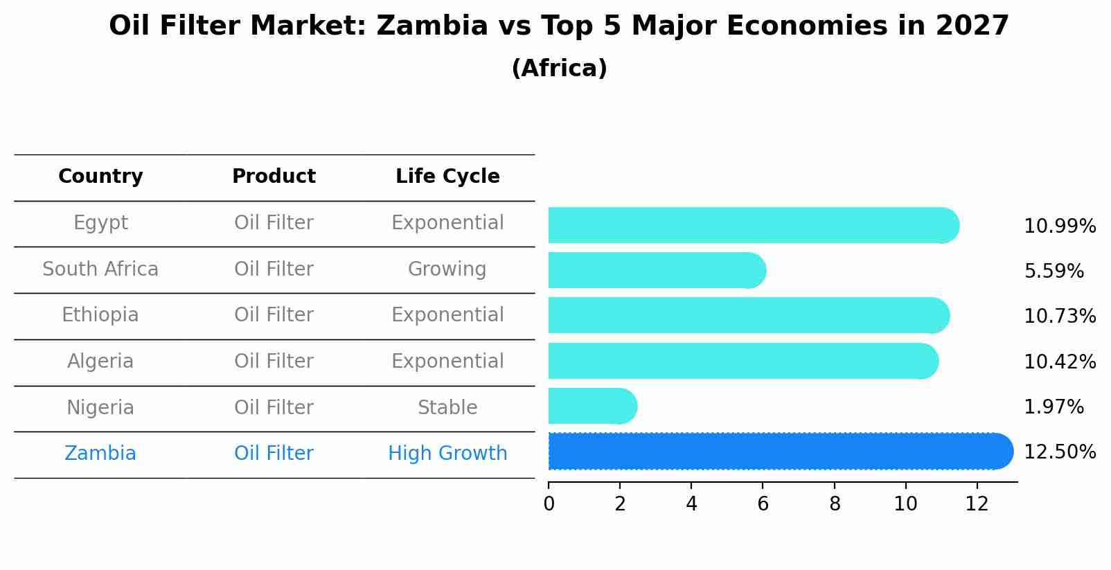 Oil Filter Market: Zambia vs Top 5 Major Economies in 2027 (Africa)