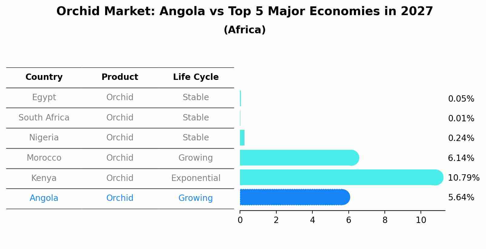 Orchid Market: Angola vs Top 5 Major Economies in 2027 (Africa)