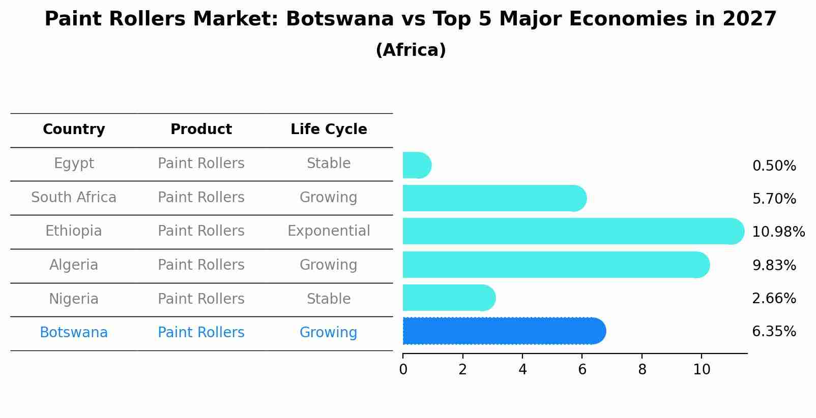 Paint Rollers Market: Botswana vs Top 5 Major Economies in 2027 (Africa)