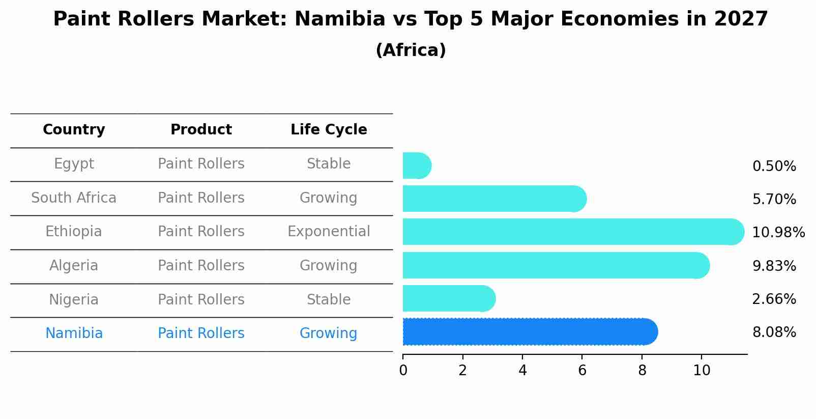 Paint Rollers Market: Namibia vs Top 5 Major Economies in 2027 (Africa)