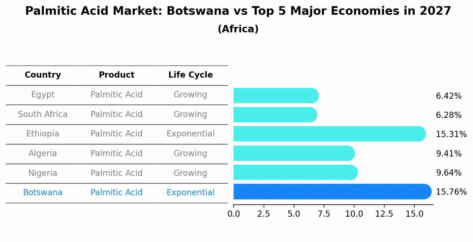 Palmitic Acid Market: Botswana vs Top 5 Major Economies in 2027 (Africa)