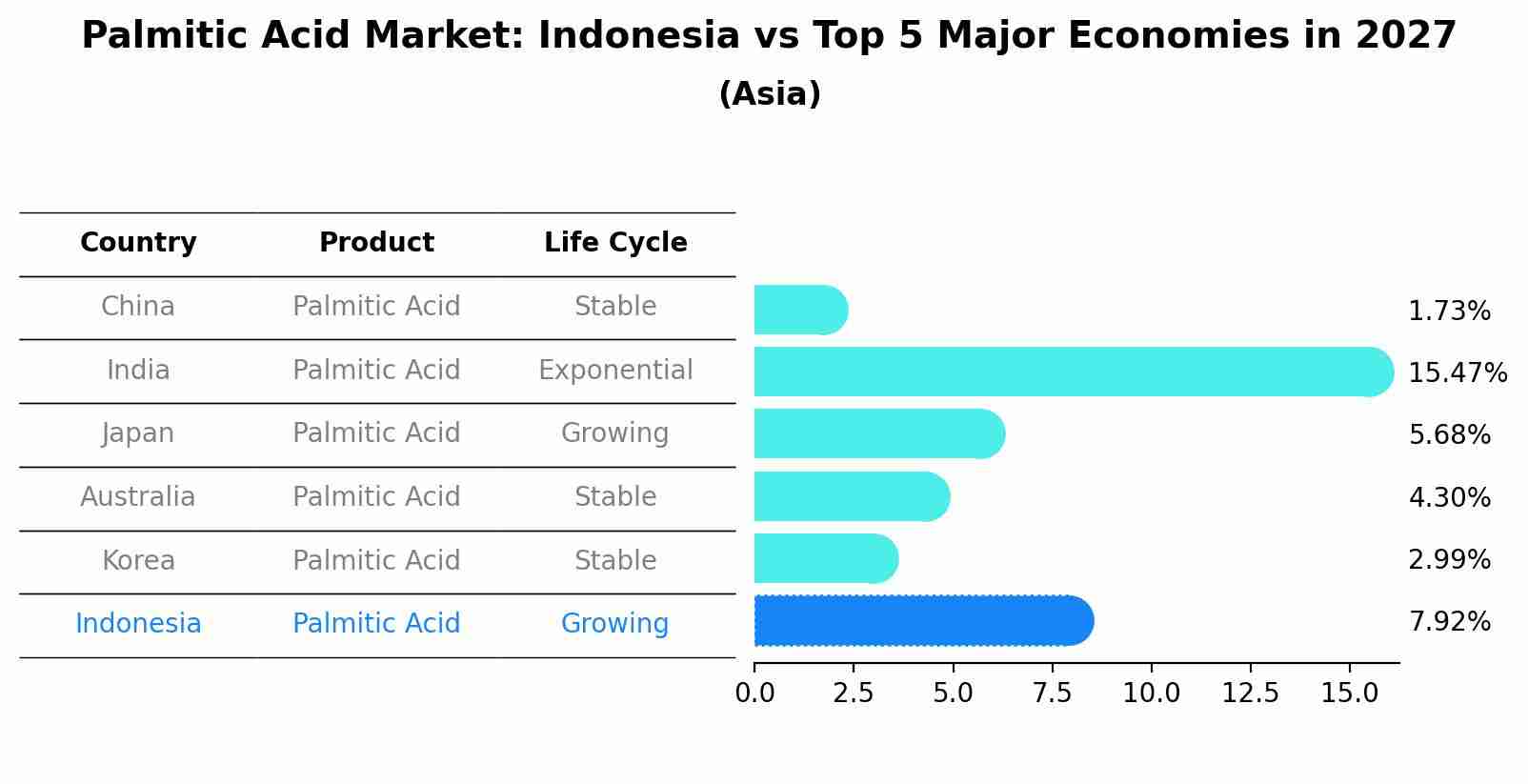 Palmitic Acid Market: Indonesia vs Top 5 Major Economies in 2027 (Asia)