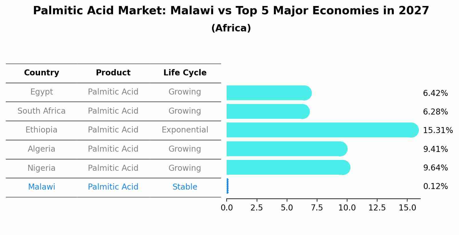 Palmitic Acid Market: Malawi vs Top 5 Major Economies in 2027 (Africa)