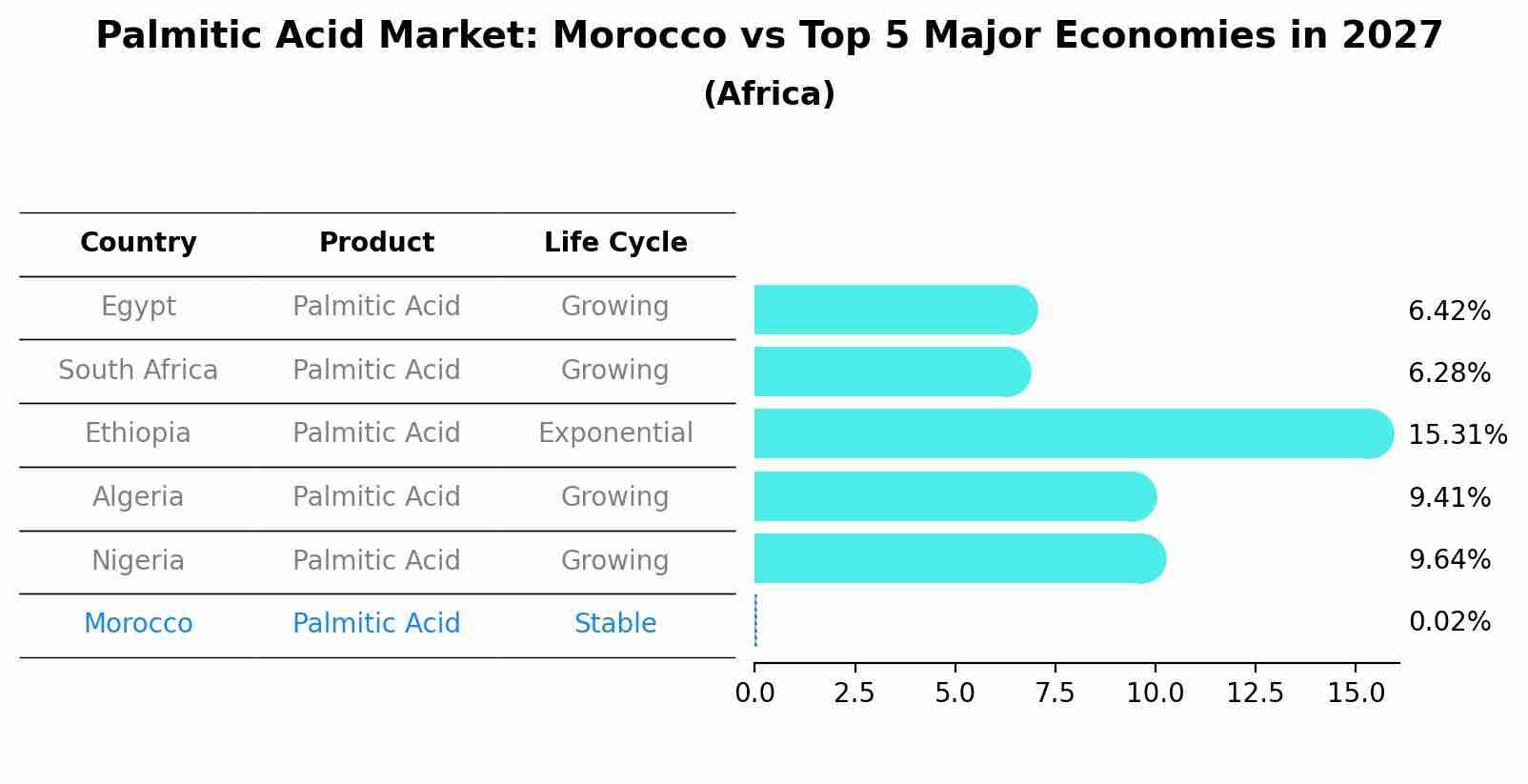 Palmitic Acid Market: Morocco vs Top 5 Major Economies in 2027 (Africa)