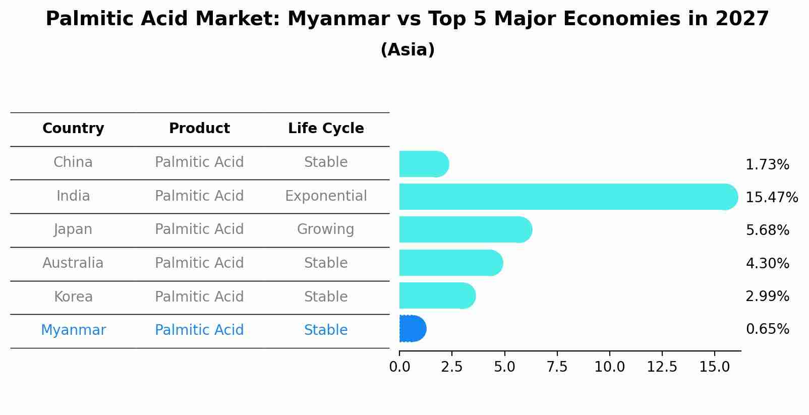 Palmitic Acid Market: Myanmar vs Top 5 Major Economies in 2027 (Asia)