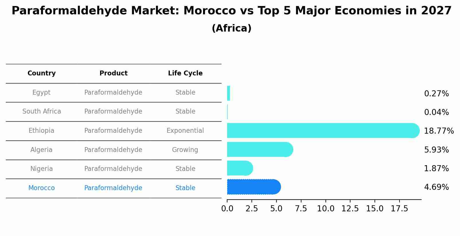 Paraformaldehyde Market: Morocco vs Top 5 Major Economies in 2027 (Africa)