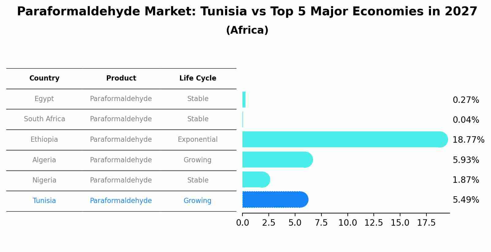 Paraformaldehyde Market: Tunisia vs Top 5 Major Economies in 2027 (Africa)