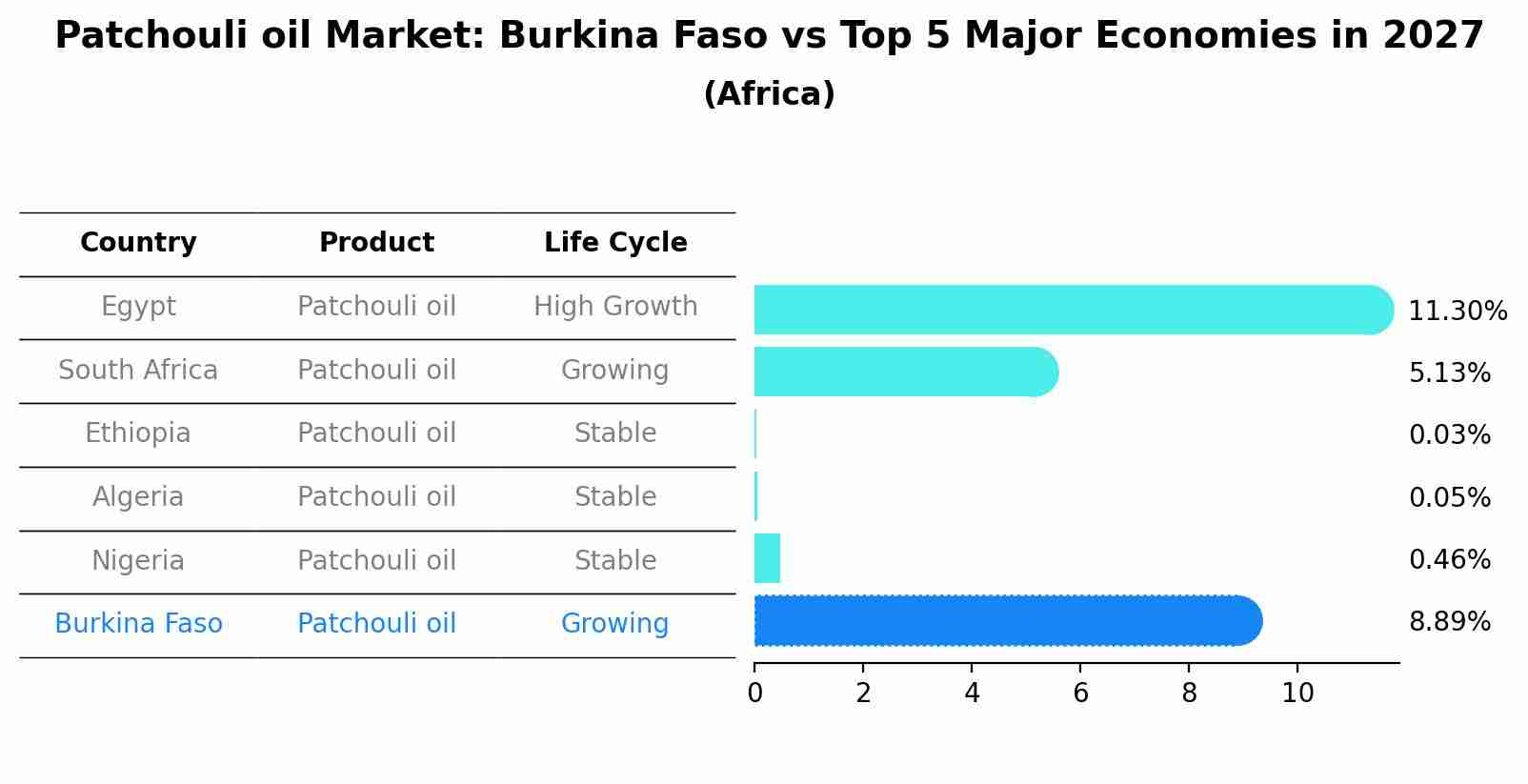 Patchouli oil Market: Burkina Faso vs Top 5 Major Economies in 2027 (Africa)