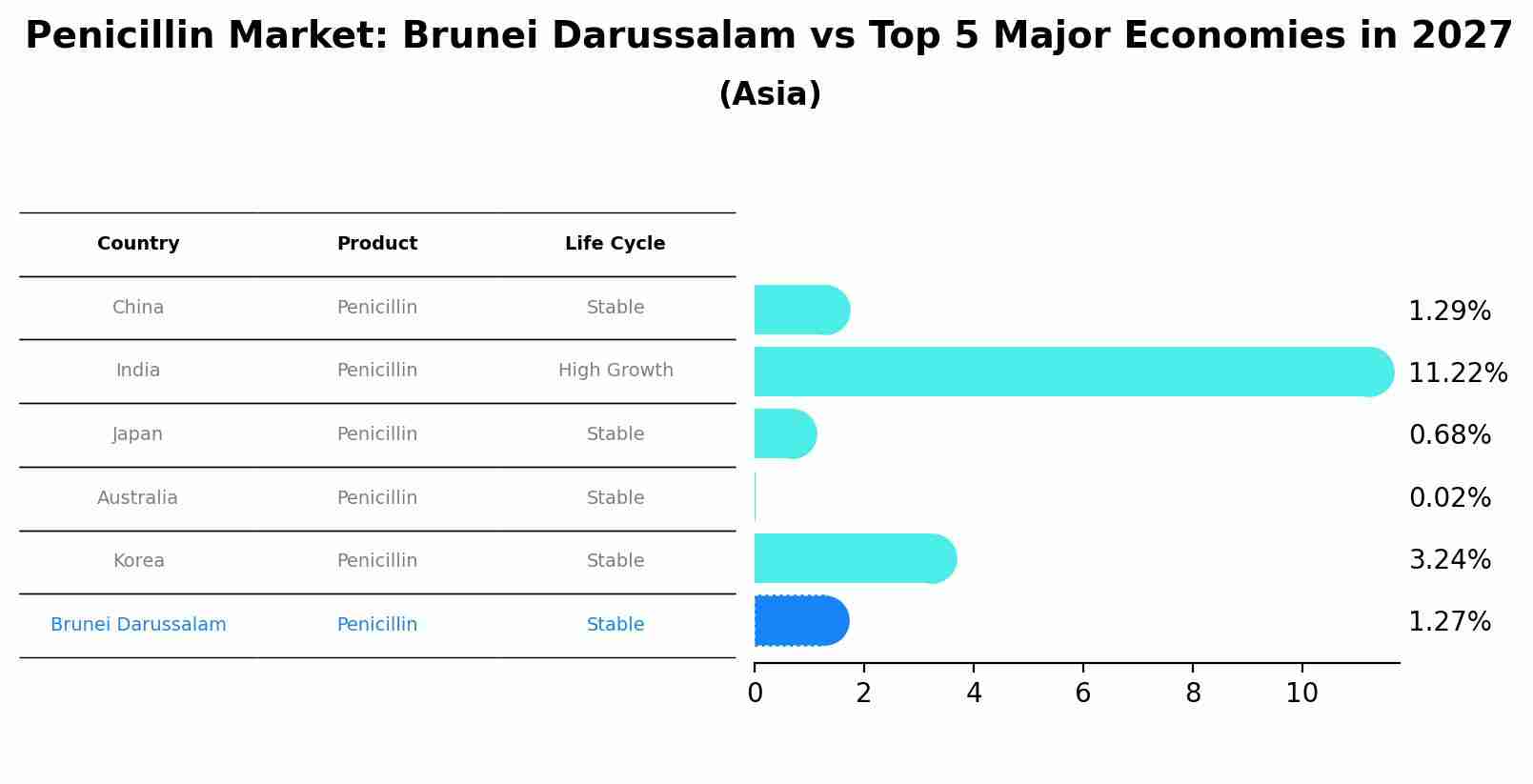 Penicillin Market: Brunei Darussalam vs Top 5 Major Economies in 2027 (Asia)