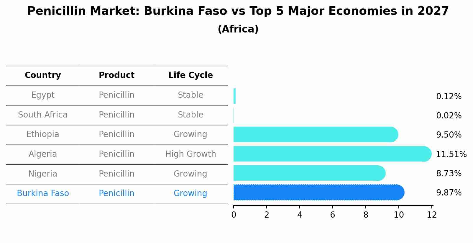 Penicillin Market: Burkina Faso vs Top 5 Major Economies in 2027 (Africa)