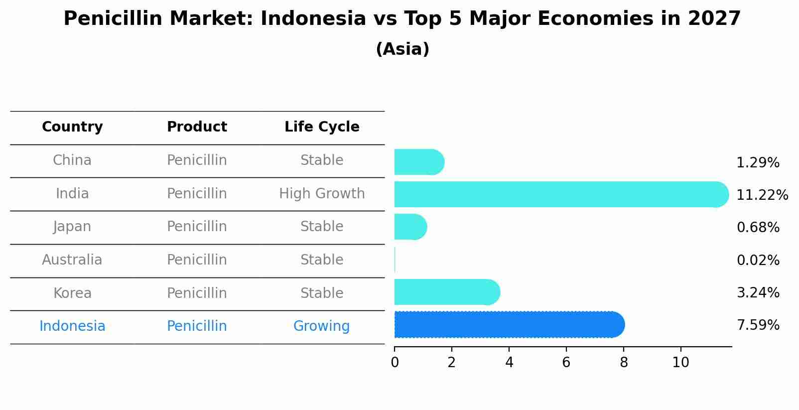 Penicillin Market: Indonesia vs Top 5 Major Economies in 2027 (Asia)