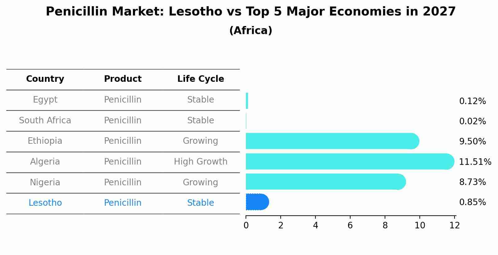 Penicillin Market: Lesotho vs Top 5 Major Economies in 2027 (Africa)