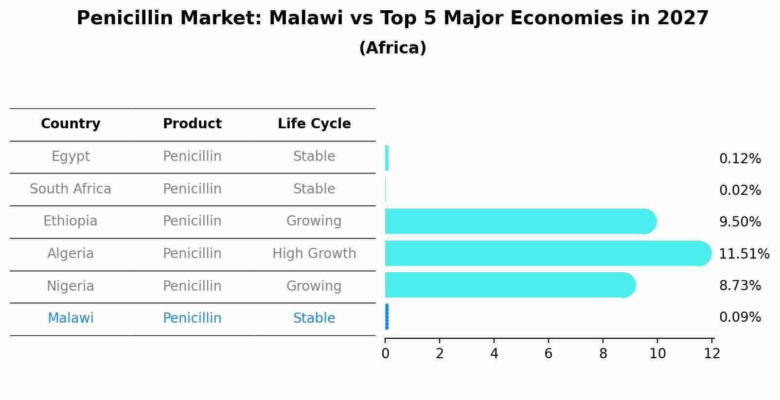 Penicillin Market: Malawi vs Top 5 Major Economies in 2027 (Africa)