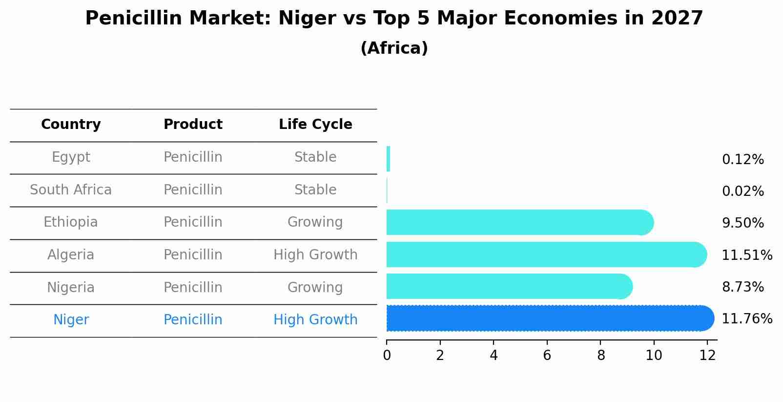 Penicillin Market: Niger vs Top 5 Major Economies in 2027 (Africa)