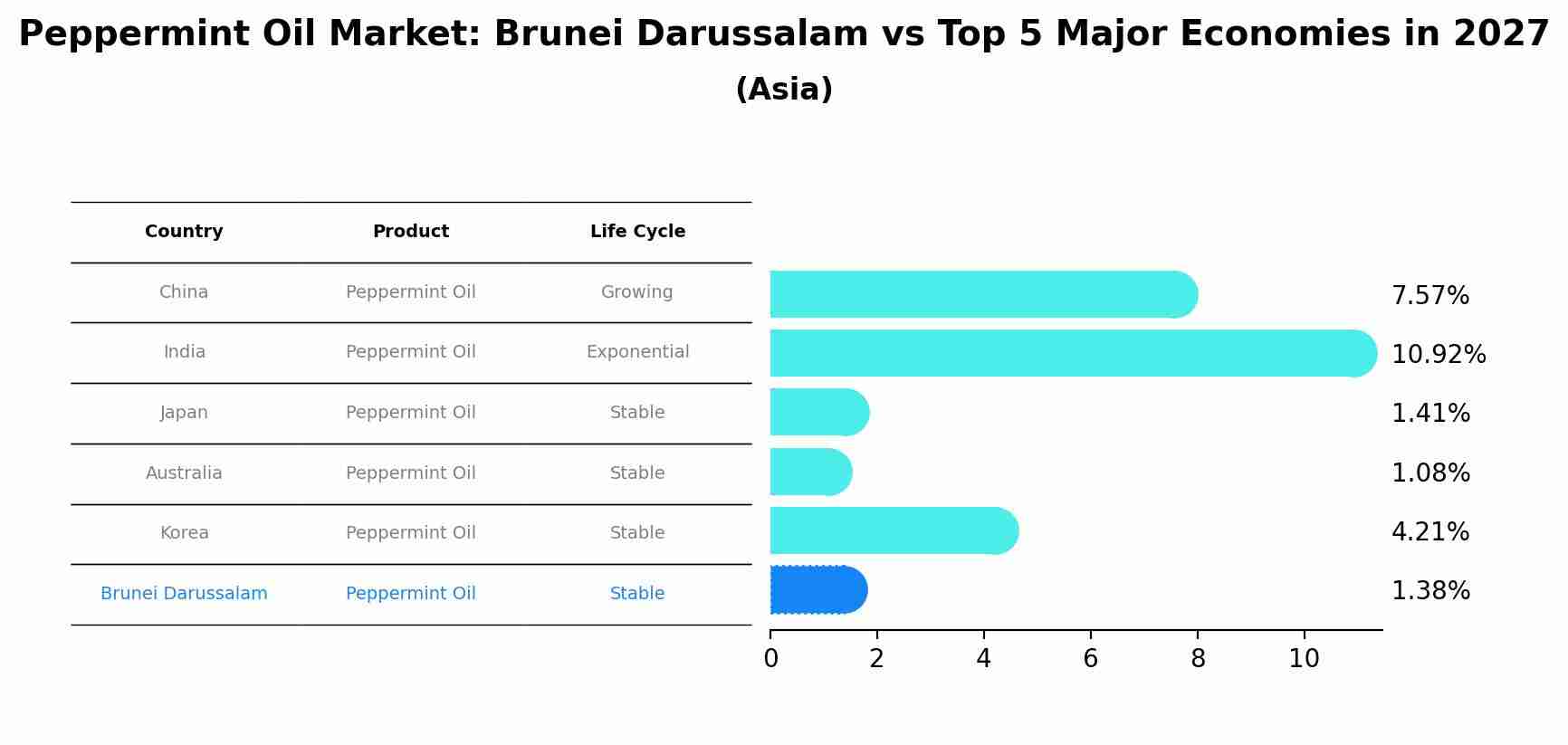 Peppermint Oil Market: Brunei Darussalam vs Top 5 Major Economies in 2027 (Asia)