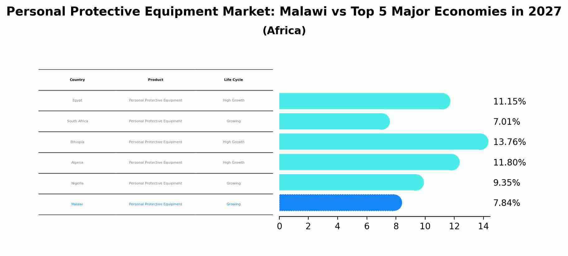 Personal Protective Equipment Market: Malawi vs Top 5 Major Economies in 2027 (Africa)
