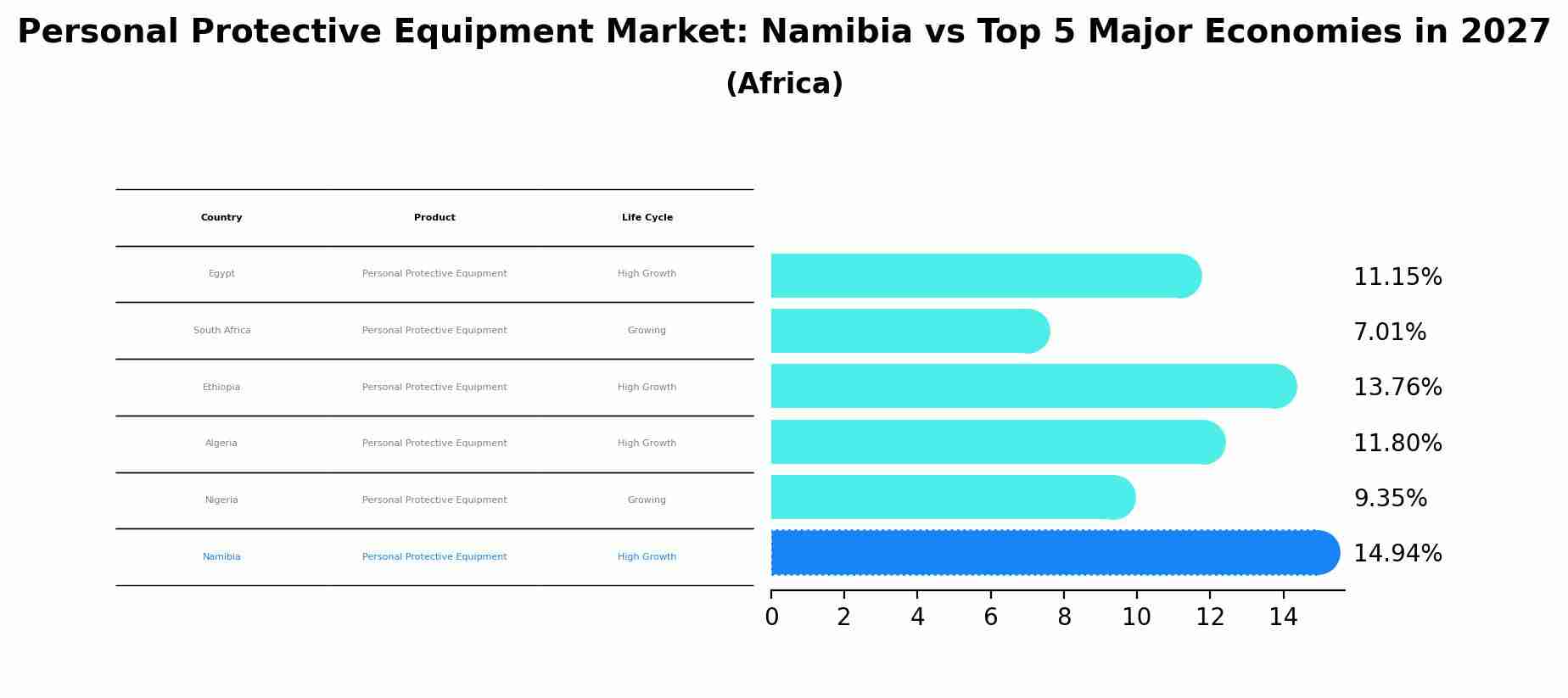 Personal Protective Equipment Market: Namibia vs Top 5 Major Economies in 2027 (Africa)