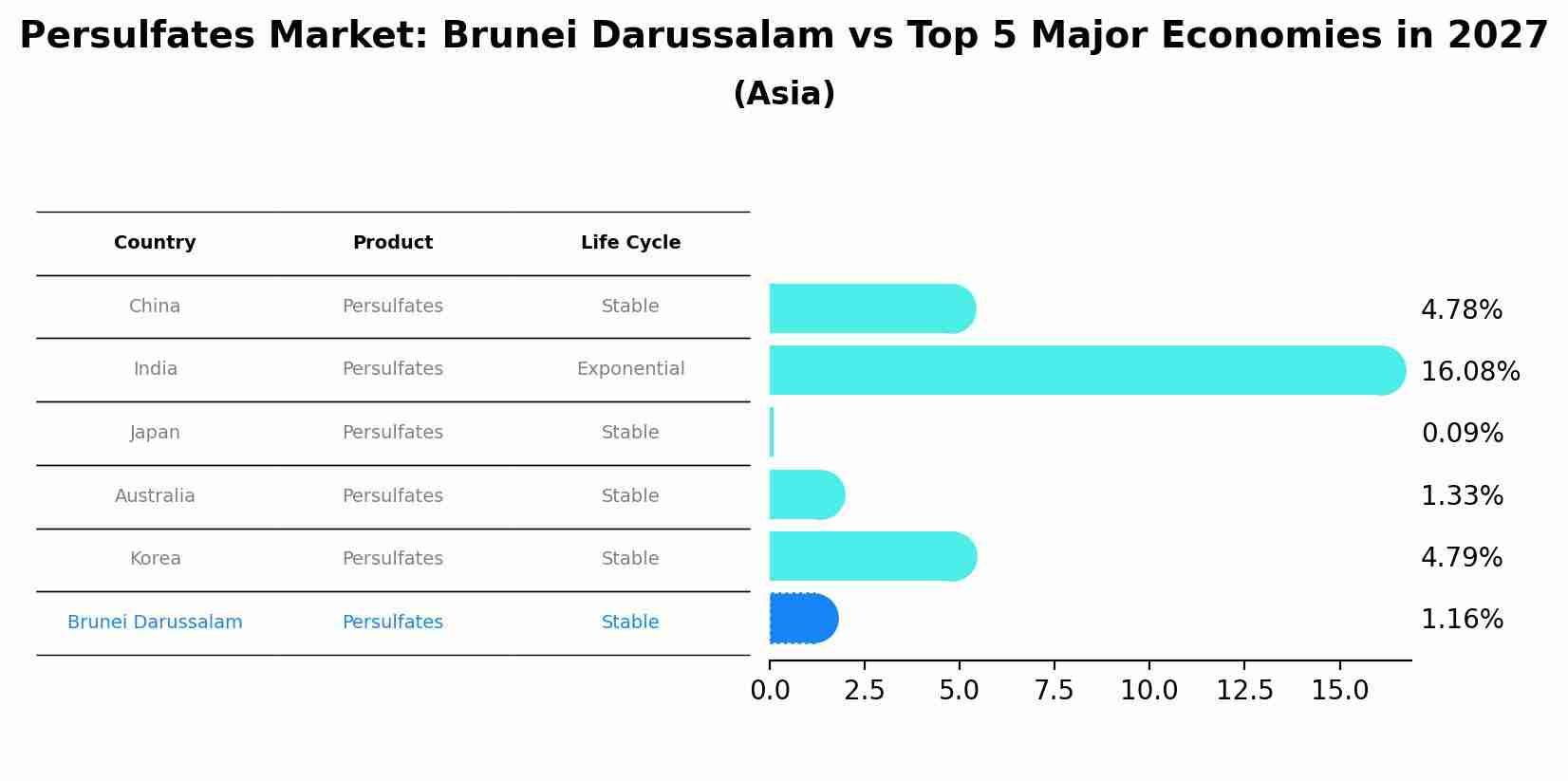 Persulfates Market: Brunei Darussalam vs Top 5 Major Economies in 2027 (Asia)