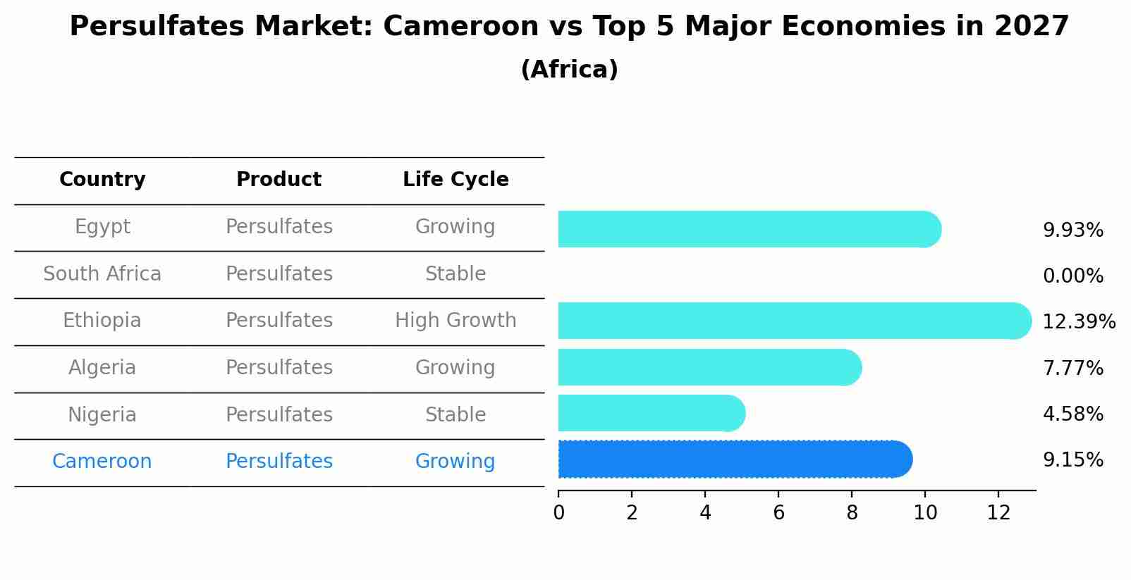 Persulfates Market: Cameroon vs Top 5 Major Economies in 2027 (Africa)