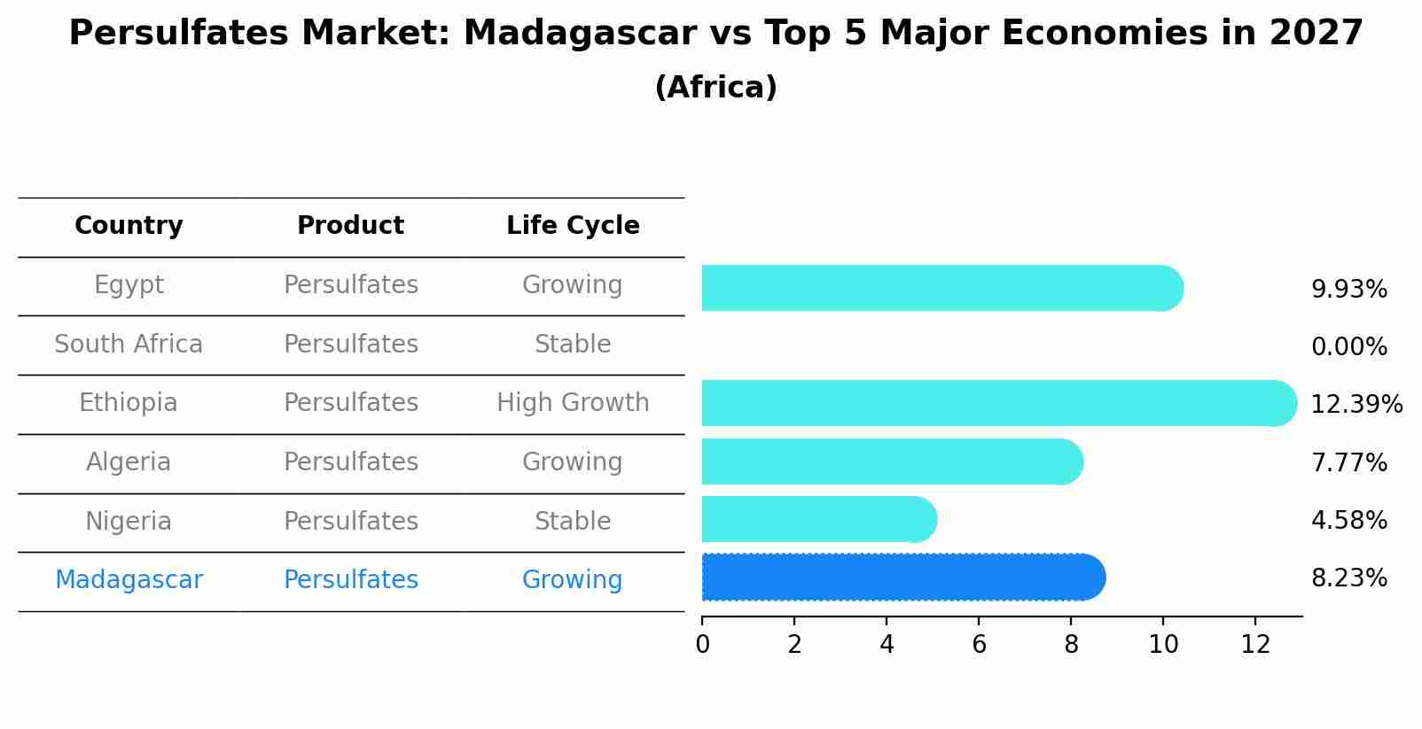Persulfates Market: Madagascar vs Top 5 Major Economies in 2027 (Africa)