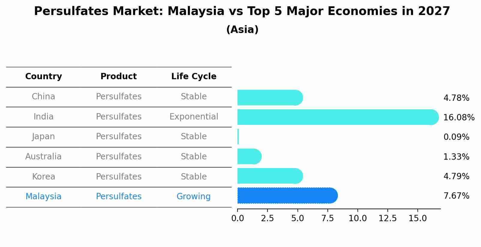 Persulfates Market: Malaysia vs Top 5 Major Economies in 2027 (Asia)