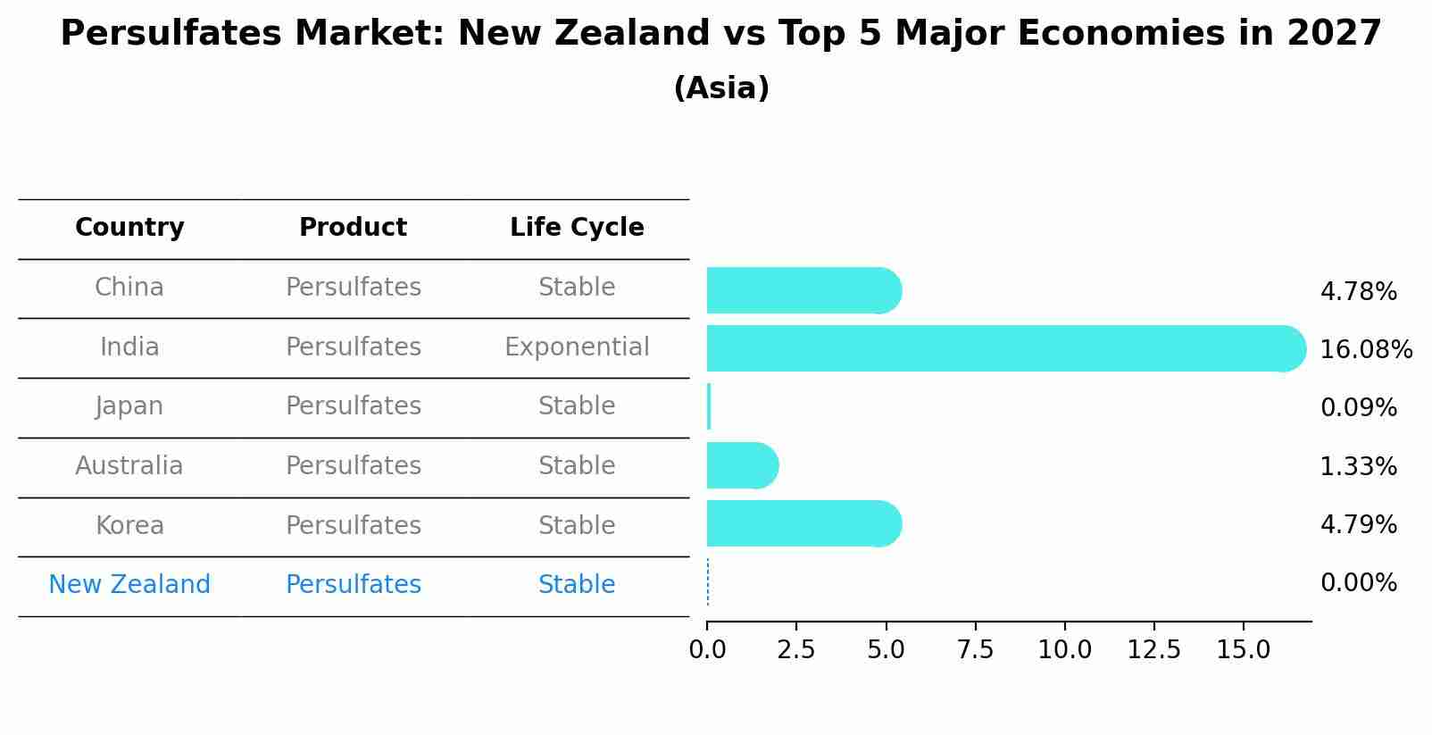 Persulfates Market: New Zealand vs Top 5 Major Economies in 2027 (Asia)