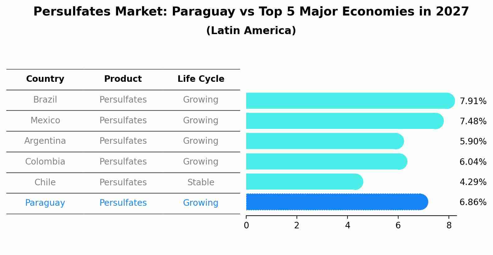 Persulfates Market: Paraguay vs Top 5 Major Economies in 2027 (Latin America)