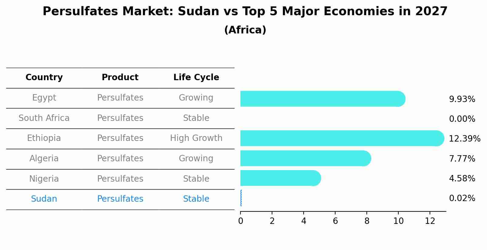 Persulfates Market: Sudan vs Top 5 Major Economies in 2027 (Africa)